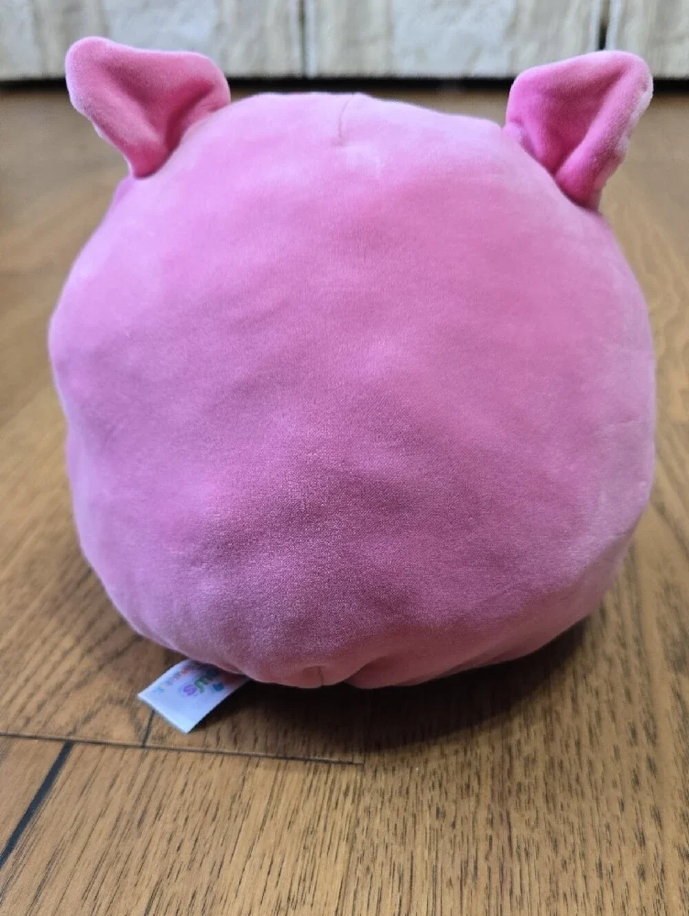 Squishmallows- Flip A Mallow Cat/dog Plush 8 Inch
